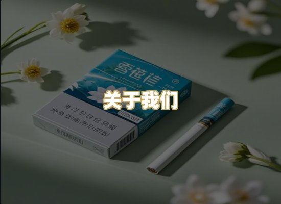 关于我们